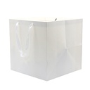 Paper Bag