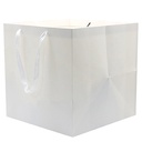 Paper Bag