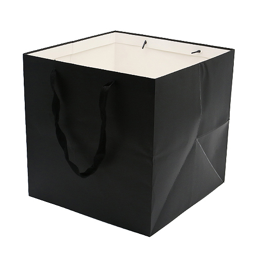Paper Bag