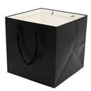 Paper Bag