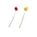 اكسسوارات حيوانات أليفة