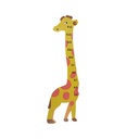 Giraffe Height Measure