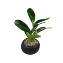 Artificial plant
