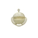 ستاند تقديم