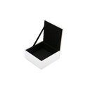 صندوق زجاجي