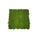 Artificial Grass