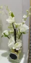 Vase with Flower Teachers' Day